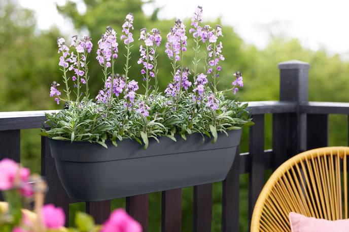 vibia campana easy hanger XXL 70cm anthrazit